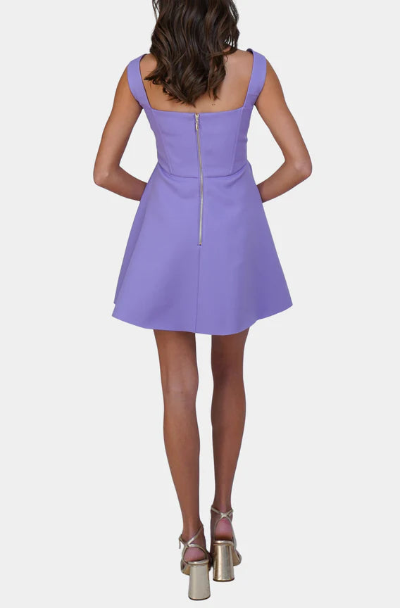 Candice Mini Dress Stylish Sweetheart Mini Dress